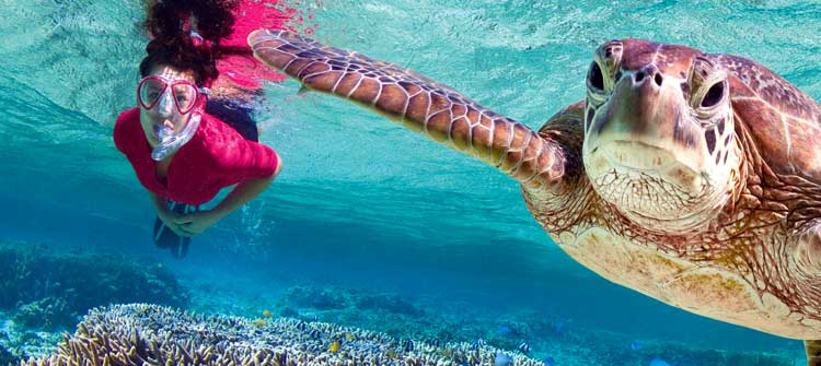 The Great Barrier Reef School Camps & Education Tours